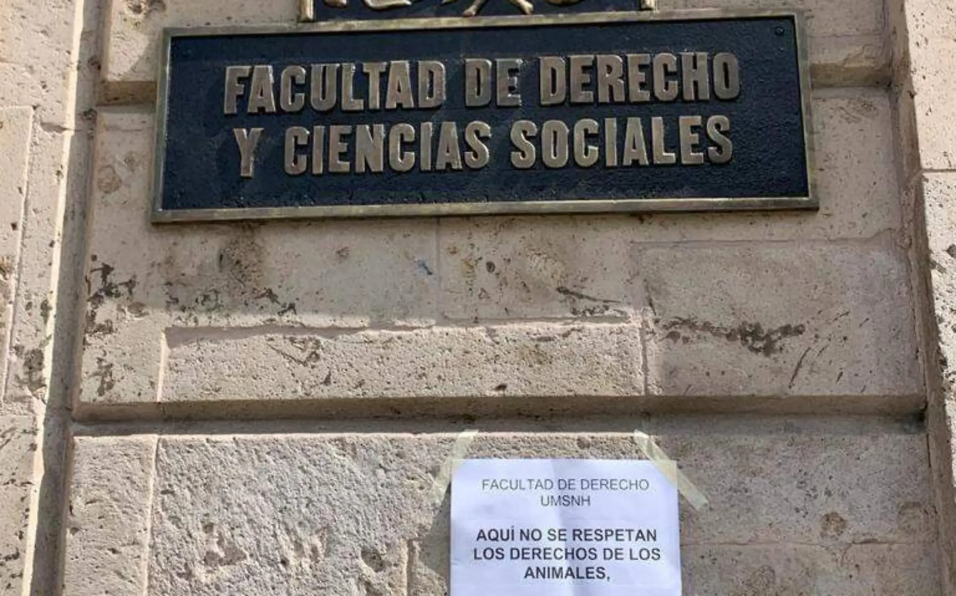 Facultad de Derecho Gatos